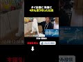 【26年4月後編 密着】 バンコク出張・セミナー・サーフィン大会登壇｜社長のリアルな判断と日常【さわかみ投信】