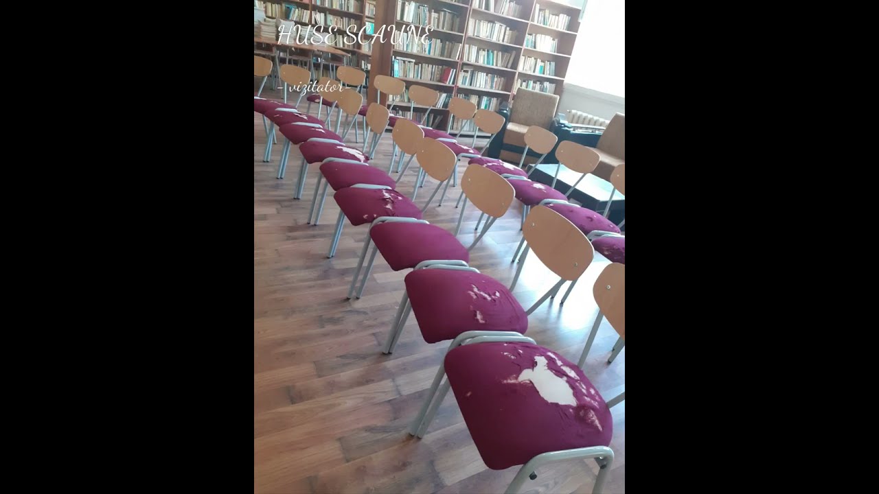 Huse scaune vizitator