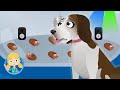 Lily the Beagle | Doctor Poppy&#39;s Pet Rescue | Animals For Kids | Cartoon Animals