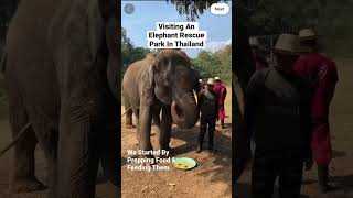 Elephant Rescue Park In Thailand #shorts