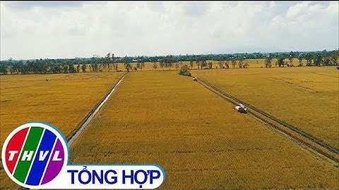 THVL | Diễn đàn Tái cơ cấu ngành nông nghiệp ĐBSCL thích ứng với biến đổi khí hậu