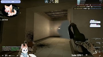 DOG THROWING NA MOLLY & FLASHBANG