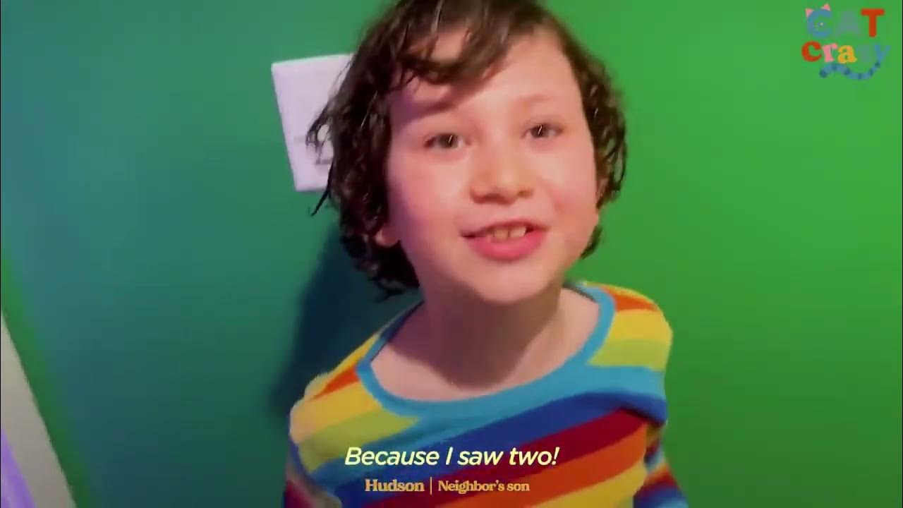 House Cat Spots Two Stray Kittens In His Backyard, And Then… The Dodo