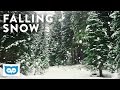 Peaceful Falling Snow - 2 Hours HD Relaxing Snowy Forest