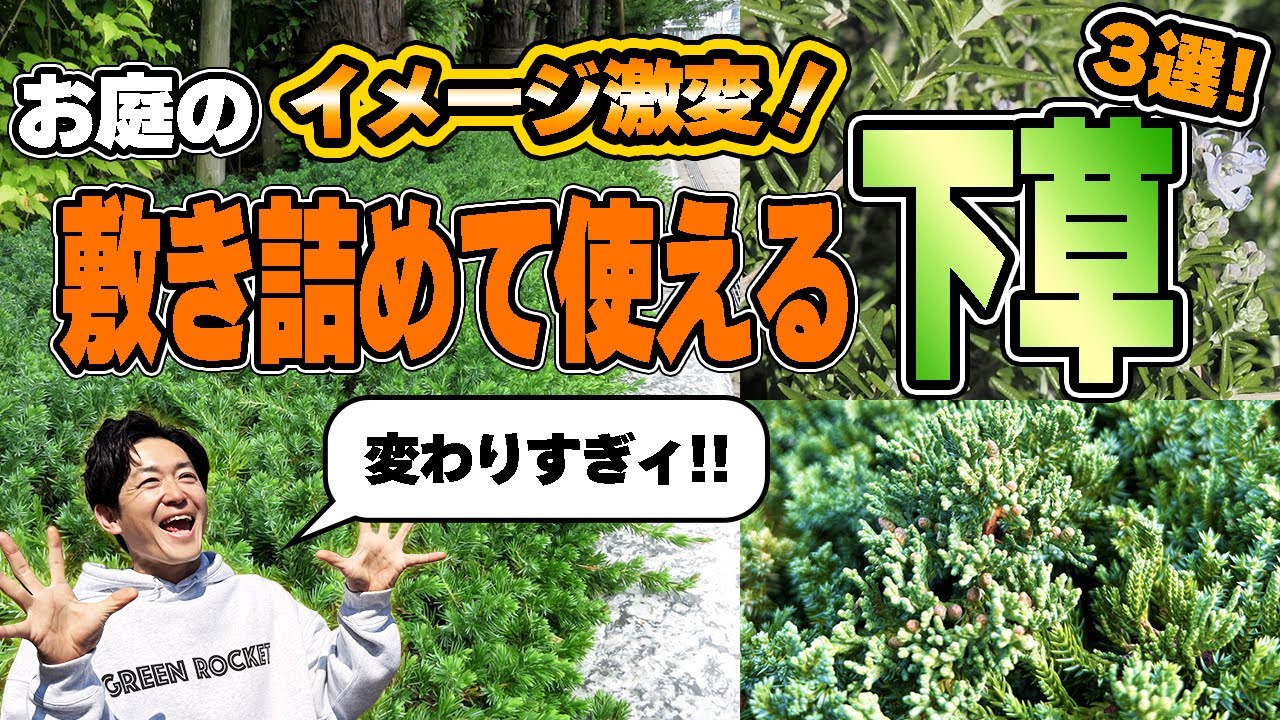 【全然違う！】お庭が7倍かっこよくなる！敷き詰めて使えるオススメの下草3選