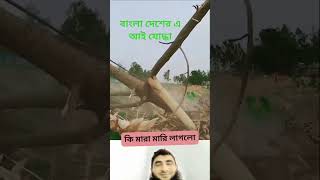মিস মিসাইল