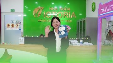 SIÊU ĐẠI TIỆC 2025 - Nha Khoa Victoria
