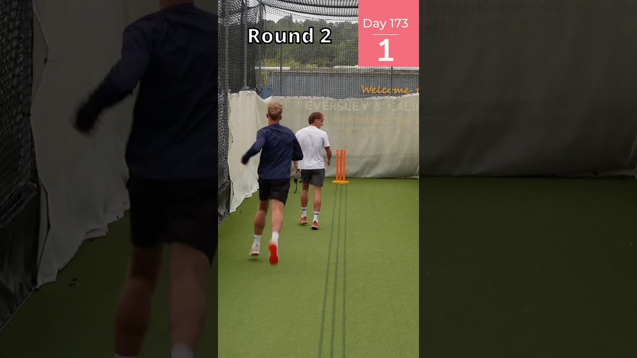 Perfect Over Challenge - Day 173 #cricketchallenge