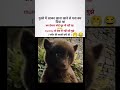 पनीर की सब्जी 🤭🤣#viral#trending#video