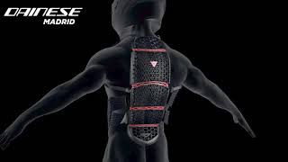DAINESE PRO-SPEED BACK