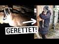 Wilma und Wanda sollen leben!