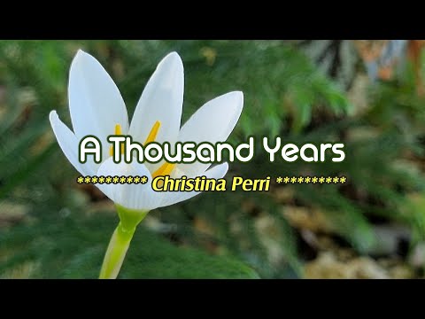 Video thumbnail for A THOUSAND YEARS - - in the style of Christina Perri