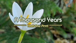 A THOUSAND YEARS - (Karaoke Version) - in the style of Christina Perri