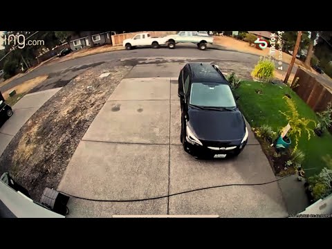 Idiots In Cars #76