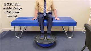 BOSU Ball Seated Ankle Range of Motion