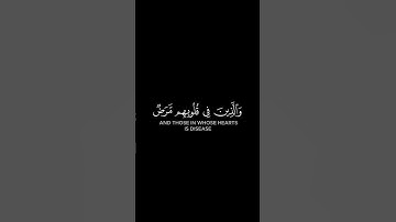 كرومات سوداء شاشة سوداء { لئن لم ينتهِ المنافقون } القارئ سعيد الخطيب #قرآن #كرومات #قران_كريم