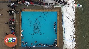 Lễ hội câu cá trên băng ở Hàn Quốc | QRT