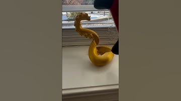 3d printed Xbox controller stand #3d printer #xbox #plasilk #controller #a1 #fyp #viral