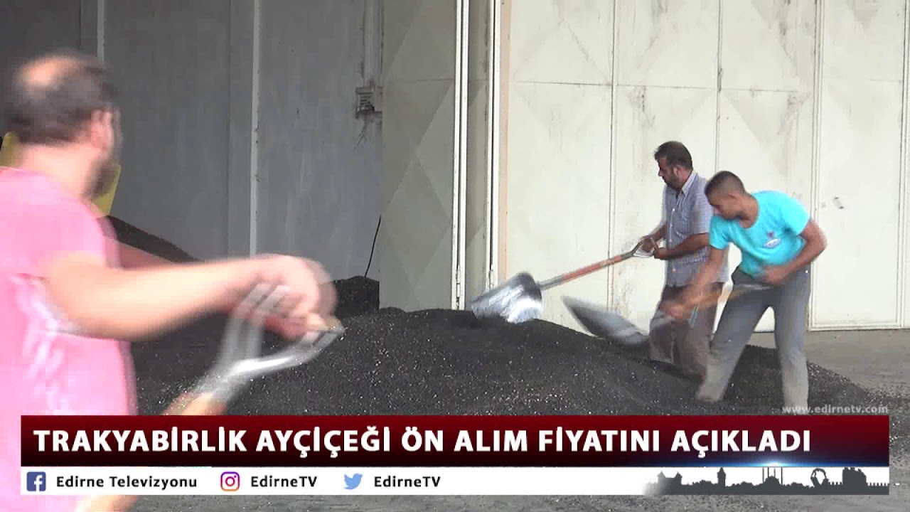 TRAKYABİRLİK AYÇİÇEĞİ ÖN ALIM FİYATINI AÇIKLADI sonos speakers