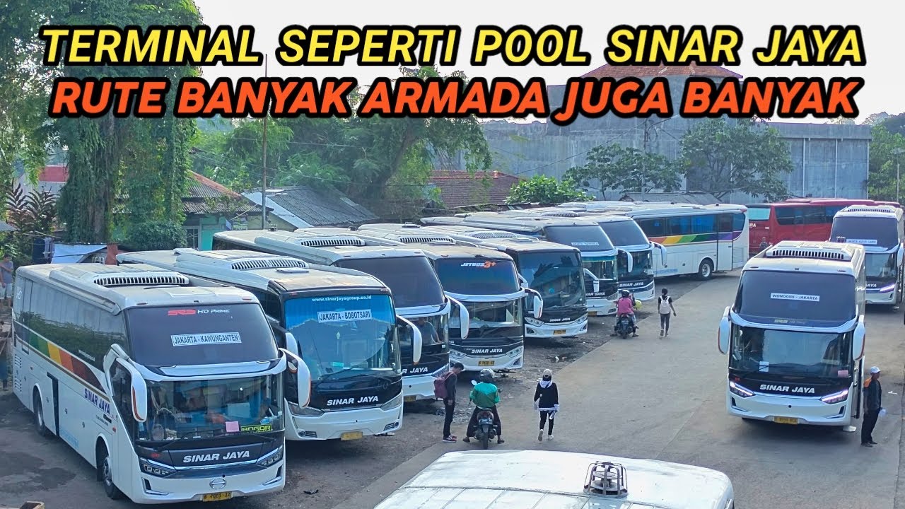 TERM. BARANANGSING BOGOR‼️BUS SINAR JAYA BANYAK BANGET DISINI DGN BERBAGAI RUTE JAWA DAN SUMATERA‼️