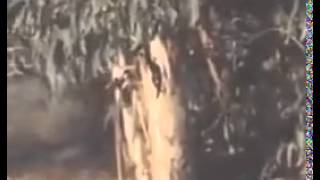 Combat! S05E16   Entombed 1