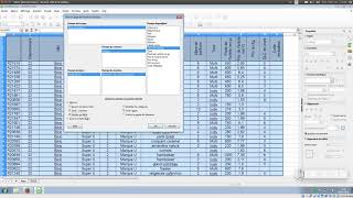 Tuto vidéo : Utiliser les tables dynamiques dans LibreOffice Calc screenshot 4