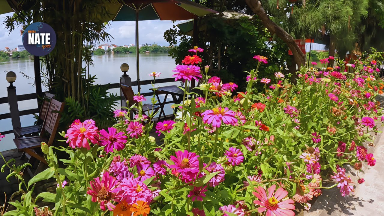 Late Morning Walk in Hoi An’s Ancient Town | Vietnam River Walk 4K 🇻🇳
