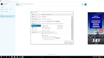 How To Disable Auto Correct and Highlight Misspelled Words In Skype