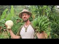 Tropical food forest ideas and inspiration with david the good