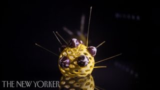 3D Printing Our Food | The New Yorker screenshot 5