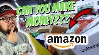 Can YOU make MONEY from AMAZON BIN Stores