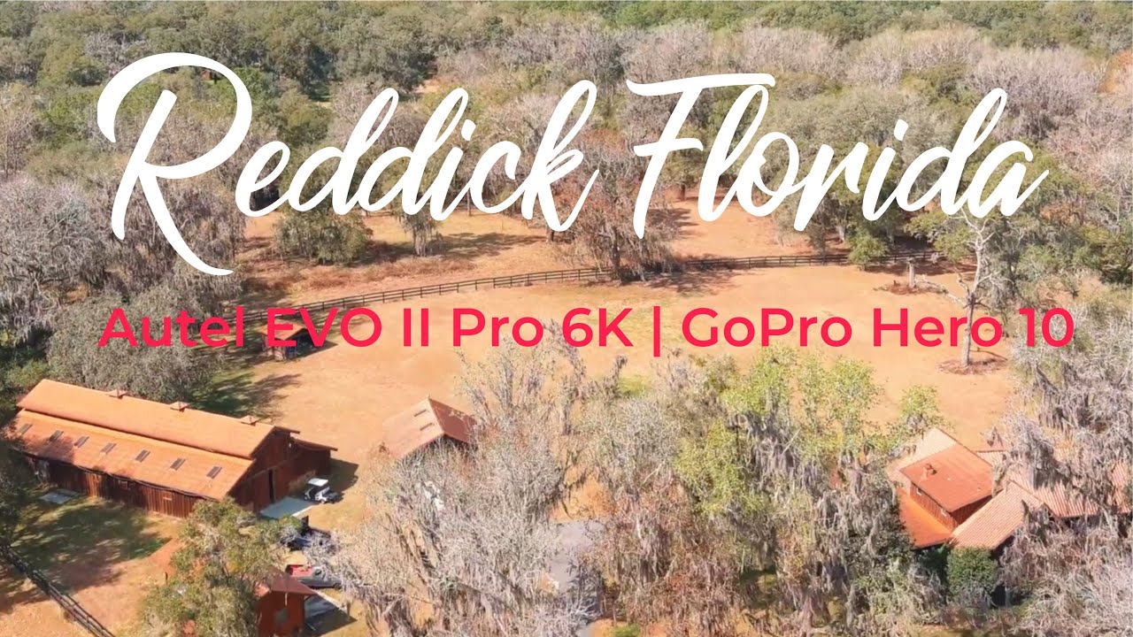 Reddick Florida Horse Ranches from the sky | 4K