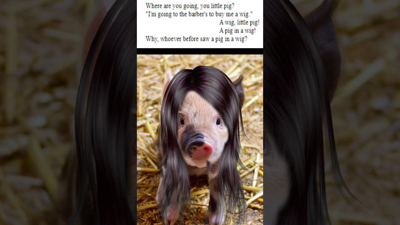 Listen and Read - The Wise Little Pig (poem) 