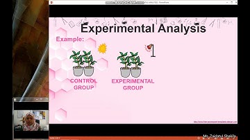 Experimental analysis (Variables, experimental and control group)