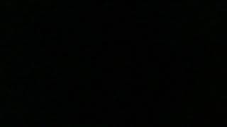 IMG 1972