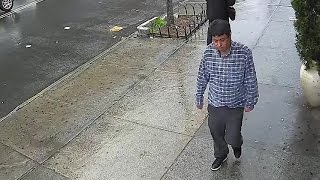 Queens Assault Suspect