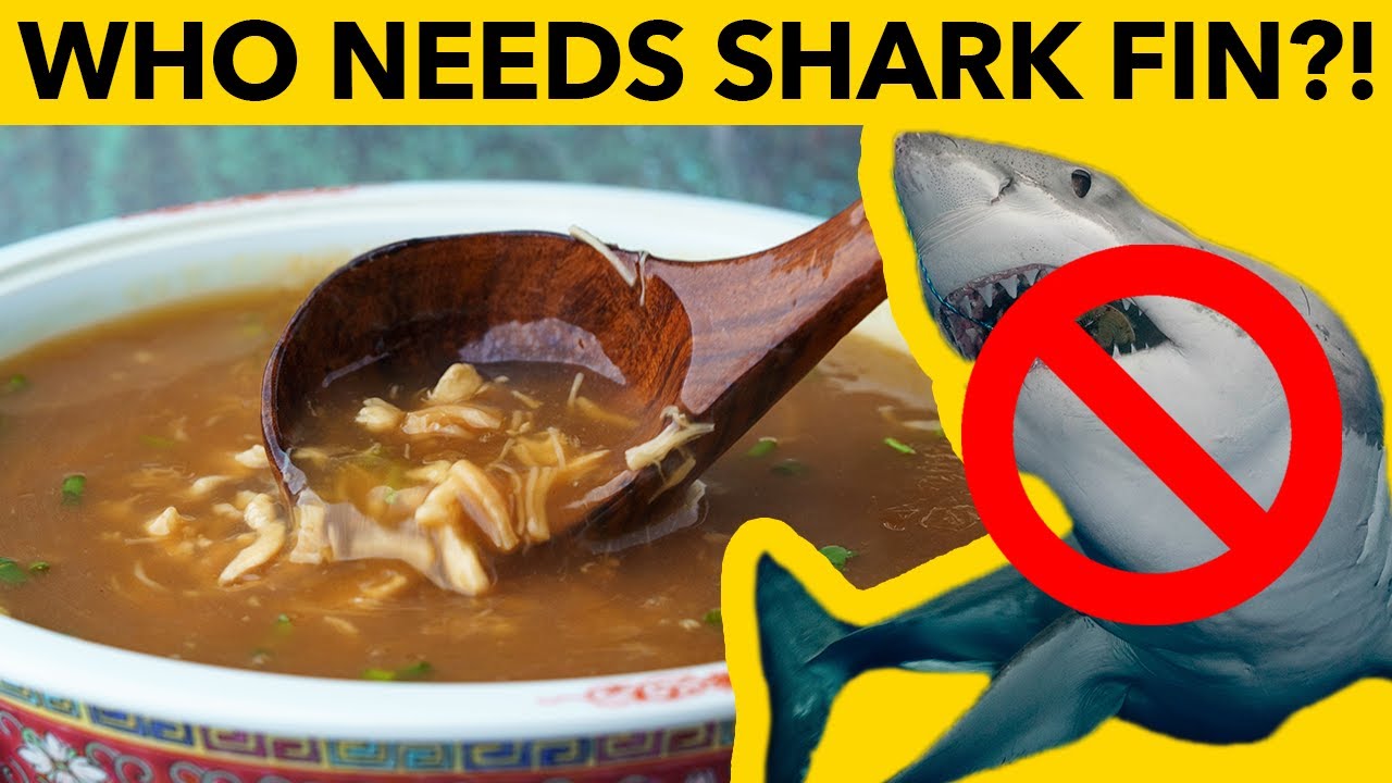 ⁣🚫 🦈  Shark Fin Soup, without the Shark.