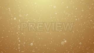 Champagne Bubbles | Stock Motion Graphics - Motion Array
