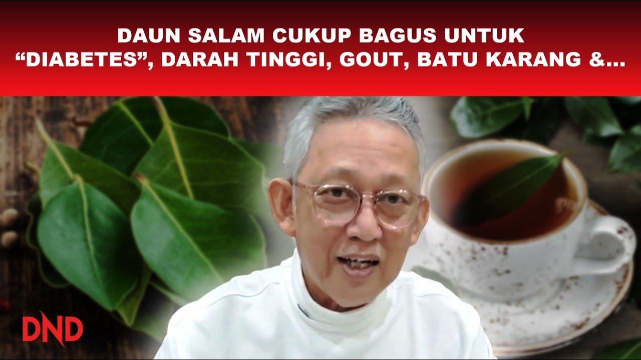 DAUN SALAM CUKUP BAGUS UNTUK 