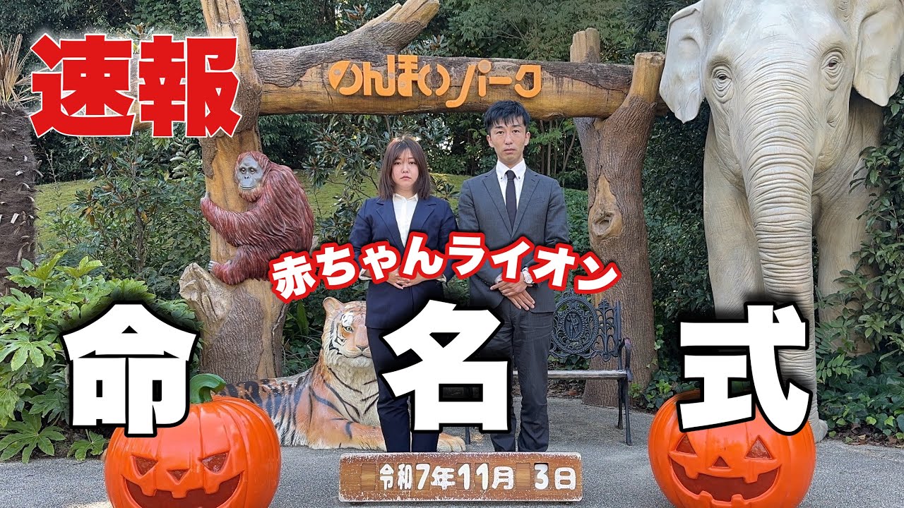 速報】赤ちゃんライオンの“名前”ついに決定!!会場大盛り上がり!!のんほ