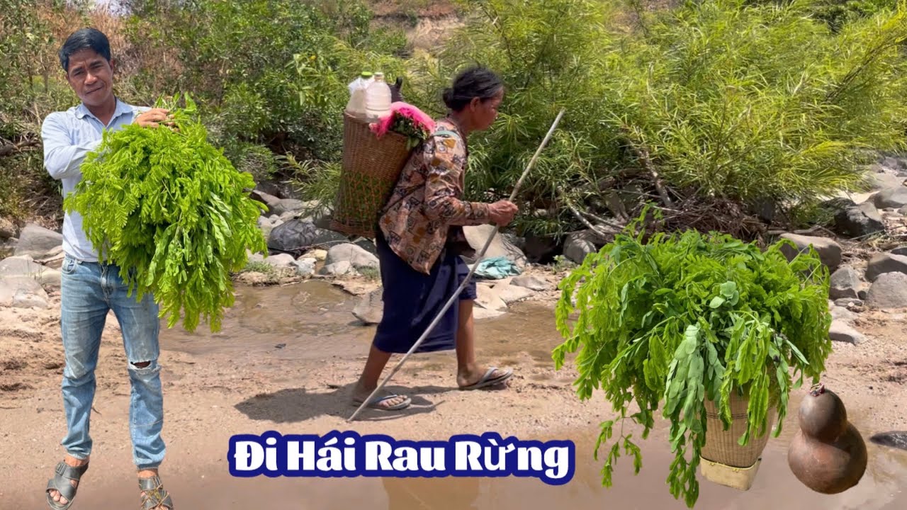 Đi Hái Rau Rừng- Cuộc Sống Thương Ngày #viralvideo #trending 