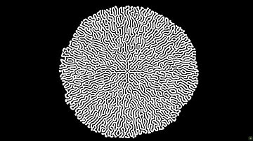 Patreon Patch Share | GPU Reaction Diffusion in Max/MSP