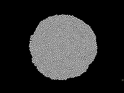 Patreon Patch Share | GPU Reaction Diffusion in Max/MSP