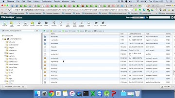 How to  access non-wordpress subdirectories as wordpress overrides them with a 404 error.
