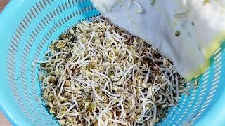 炒绿豆芽时,焯不焯水是很重要,弄错这一步,难怪不香不爽脆