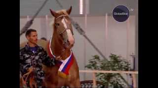 GLOBAL STAR TV P.R.O.HORSE #04 МАСТИ ЛОШАДЕЙ GLOBAL STAR TV P.R.O.HORSE #04 МАСТИ ЛОШАДЕЙ