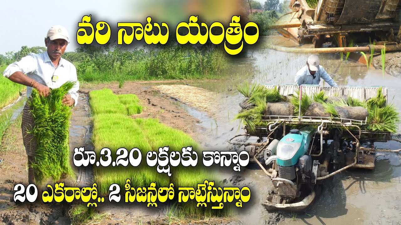 సీజన్లో రోజుకి రూ. 12 వేల పని చేస్తుంది | Rice Transplanter Machine ...