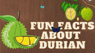 Fun facts about Durian| Amazing facts|Facts for kids