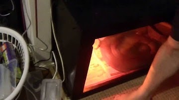 Feeding Olive Python a Rabbit - Part 1