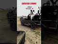 #views #music #reel #safari #trending #viralvideo